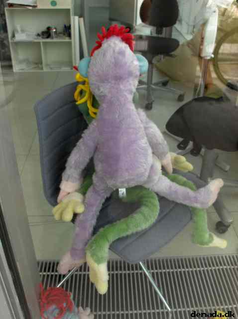 * Image 5