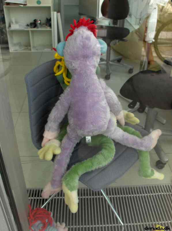 * Image 5
