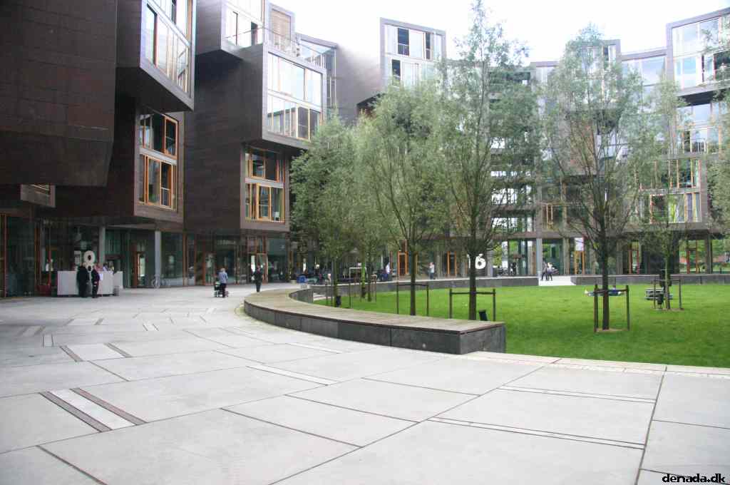 * Image 17