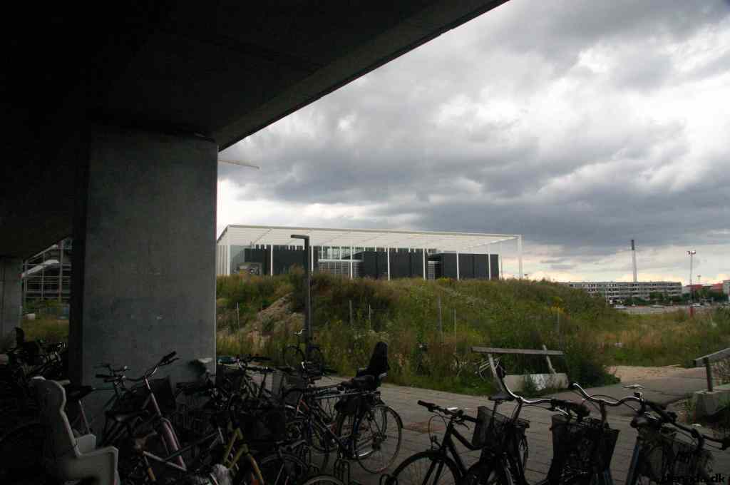 * Image 36
