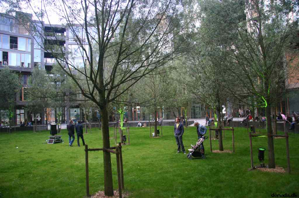 * Image 117