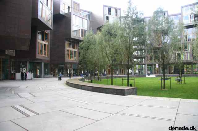 * Image 17