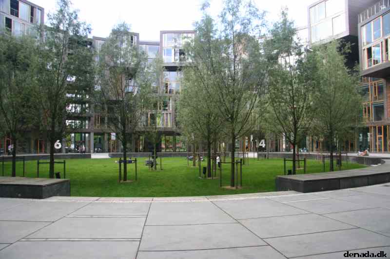 * Image 18