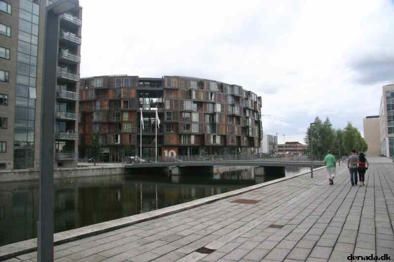 * Image 42