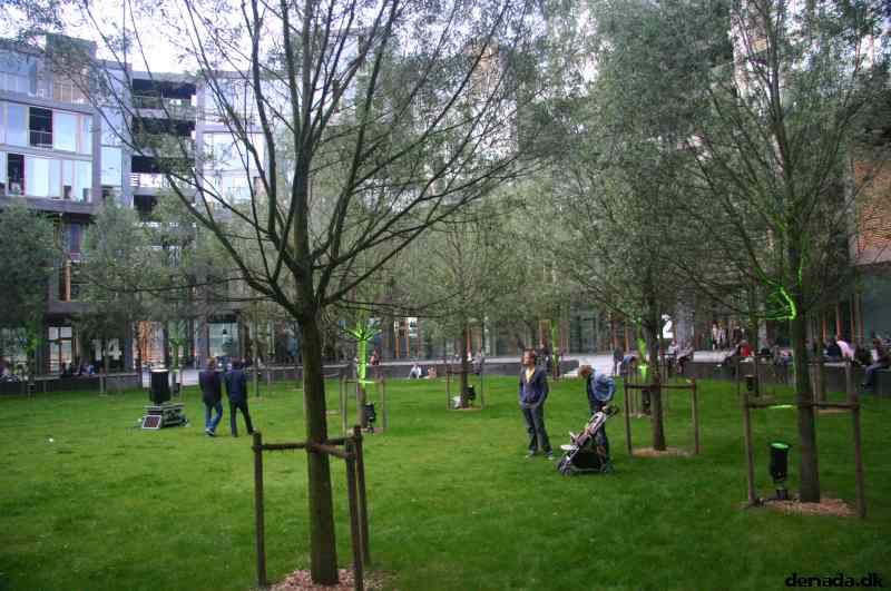 * Image 117