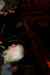 billed_280.jpg - 2007:09:09 01:08:35