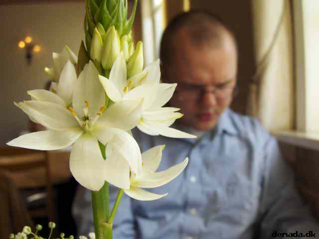 * Image 37