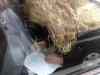 23092007010.jpg - 2007:09:23 11:55:12