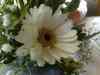23092007021.jpg - 2007:09:23 15:54:14