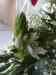 23092007023.jpg - 2007:09:23 15:54:45