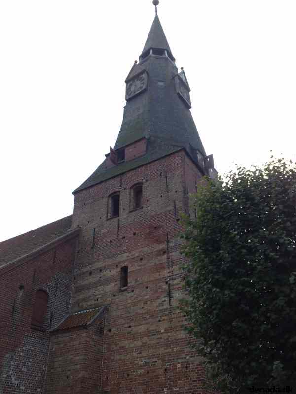 * Image 7