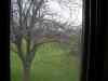 SANY0052.JPG - 2007:11:13 09:14:20