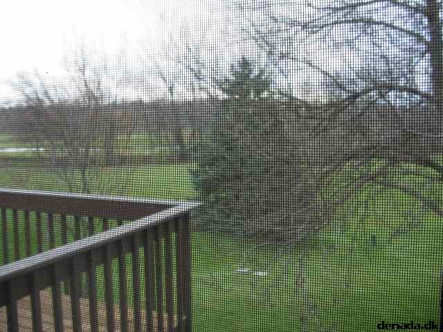 * Image 13