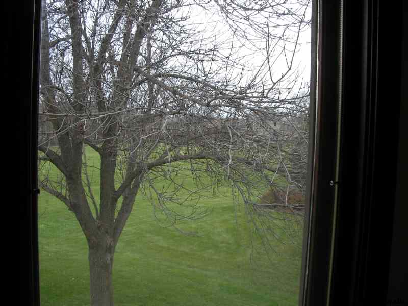 * Image 12