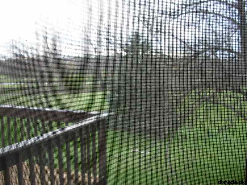 * Image 13