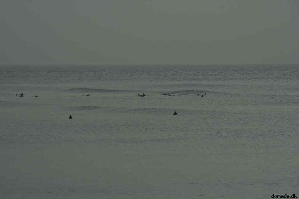 * Image 49