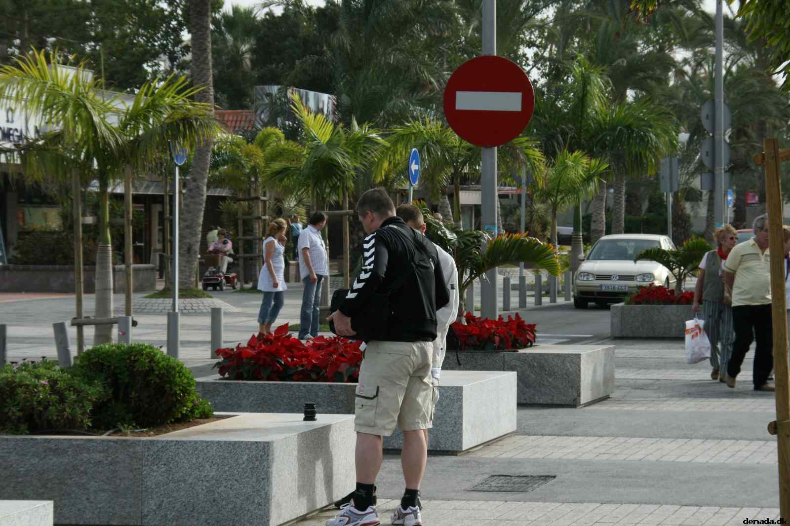 * Image 41