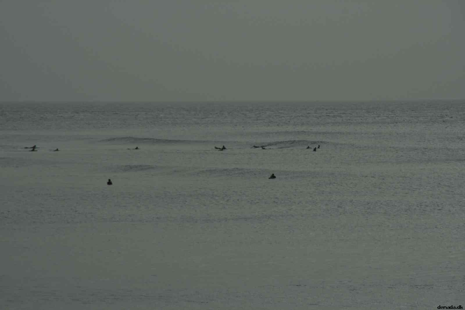 * Image 49
