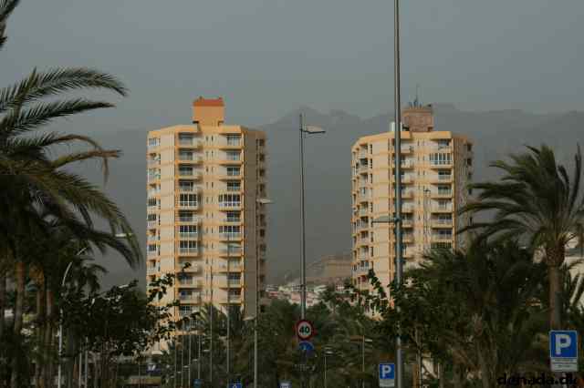 * Image 40