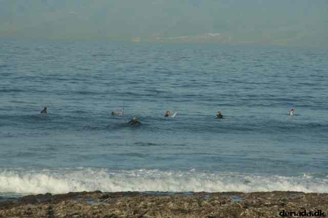 * Image 416