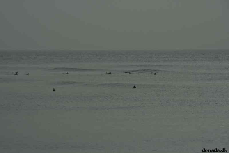 * Image 49