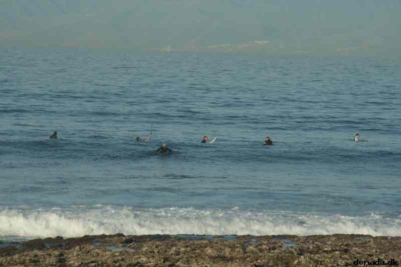 * Image 416