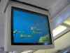SANY0196.JPG - 2008:01:20 12:27:36