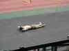 SANY0388.JPG - 2008:01:24 13:20:41
