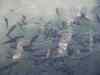 SANY0532.JPG - 2008:01:26 12:05:16