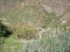 SANY0542.JPG - 2008:01:26 13:17:08