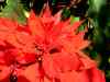 SANY0596.JPG - 2008:01:26 13:49:15