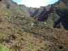 SANY0601.JPG - 2008:01:26 14:04:09