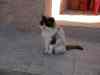 SANY0609.JPG - 2008:01:26 14:09:09
