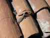 SANY0610.JPG - 2008:01:26 14:09:27
