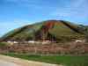 SANY0637.JPG - 2008:01:26 15:42:25