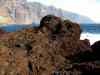 SANY0666.JPG - 2008:01:26 16:22:50