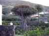 SANY0678.JPG - 2008:01:26 17:27:35
