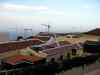 SANY0680.JPG - 2008:01:26 17:32:08