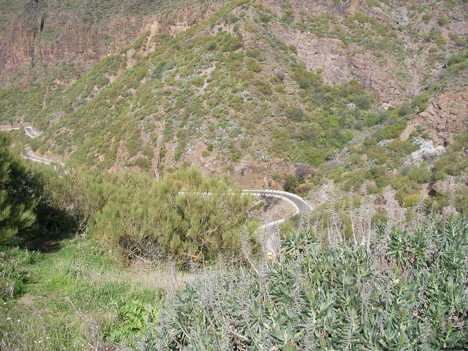 * Image 210