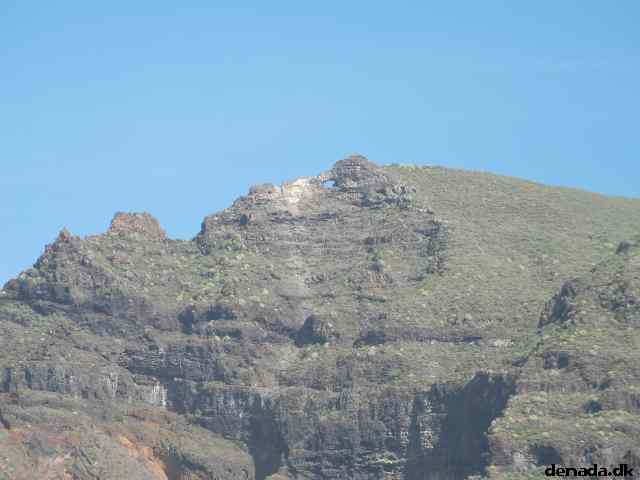 * Image 204
