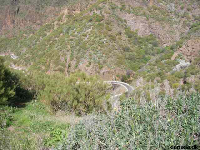 * Image 210