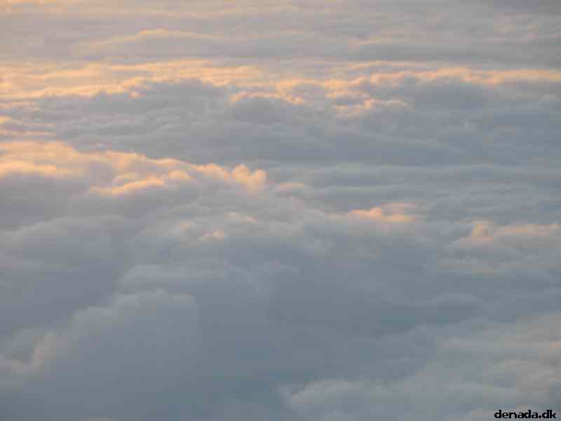* Image 5