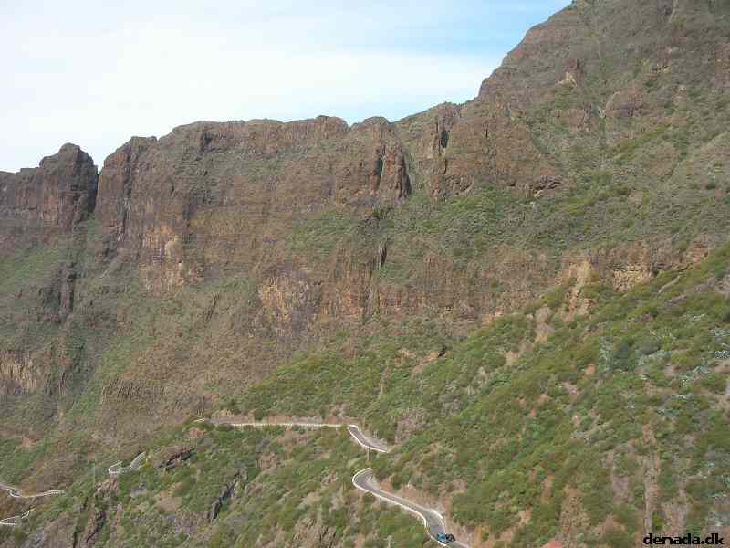 * Image 220