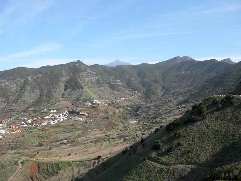 * Image 253