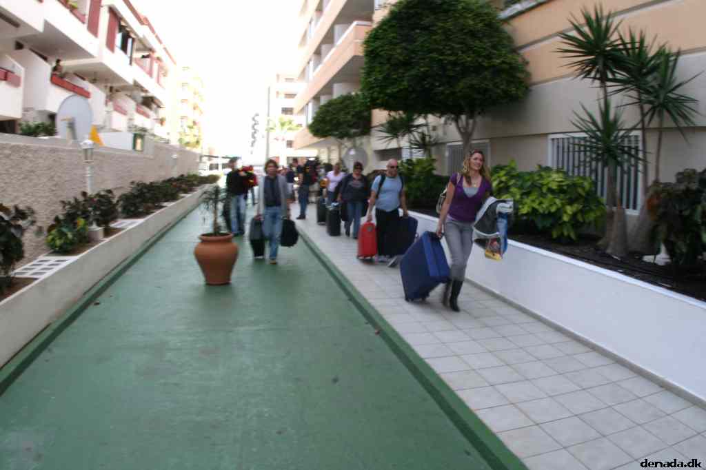 * Image 7