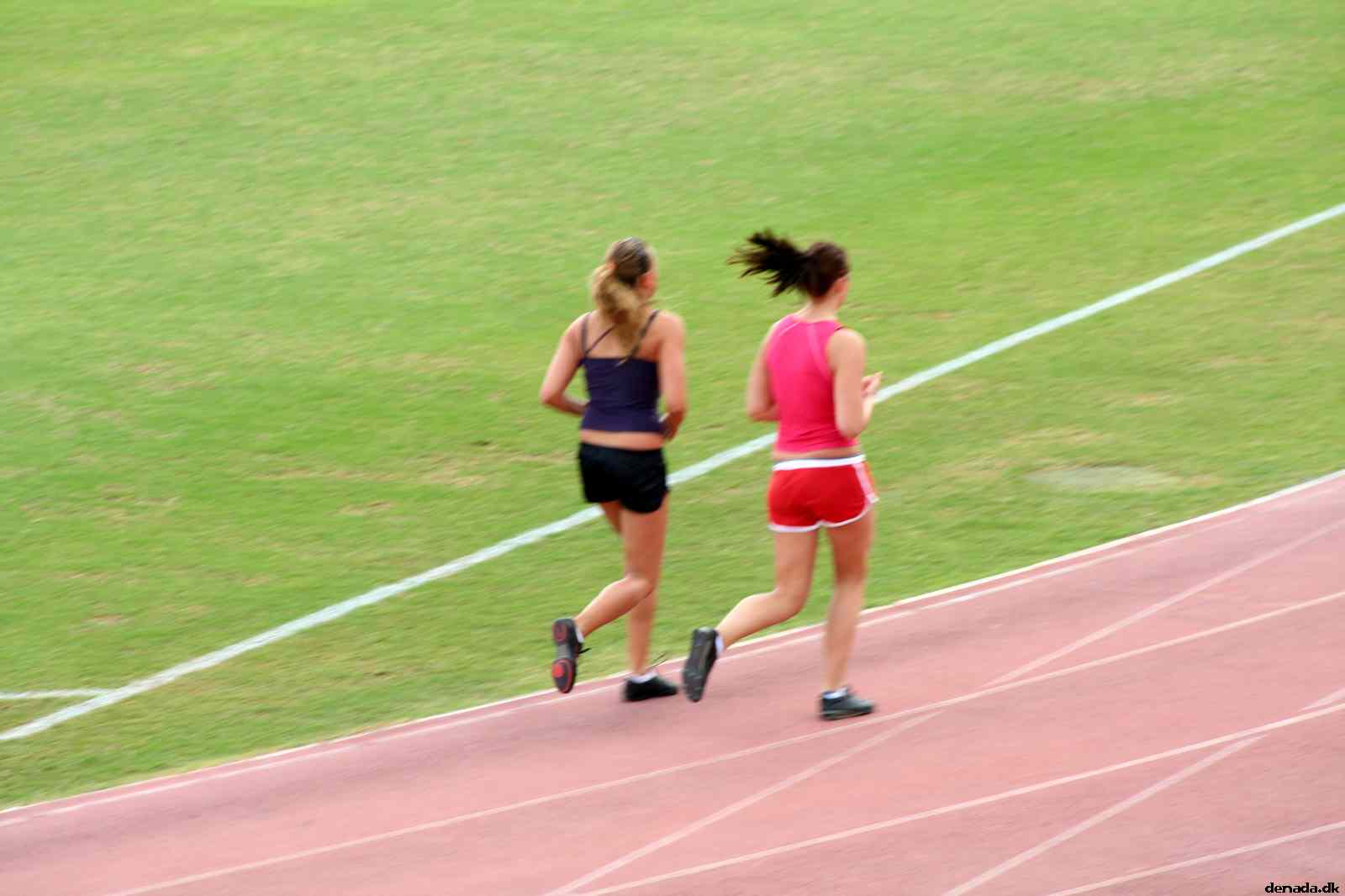 * Image 537