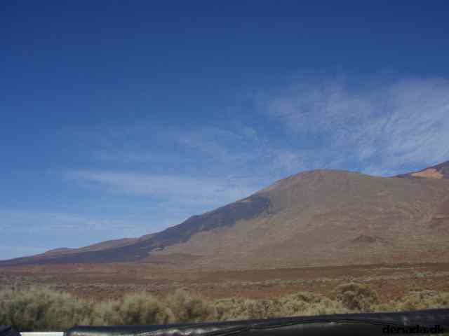* Image 41