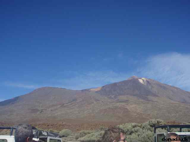 * Image 49