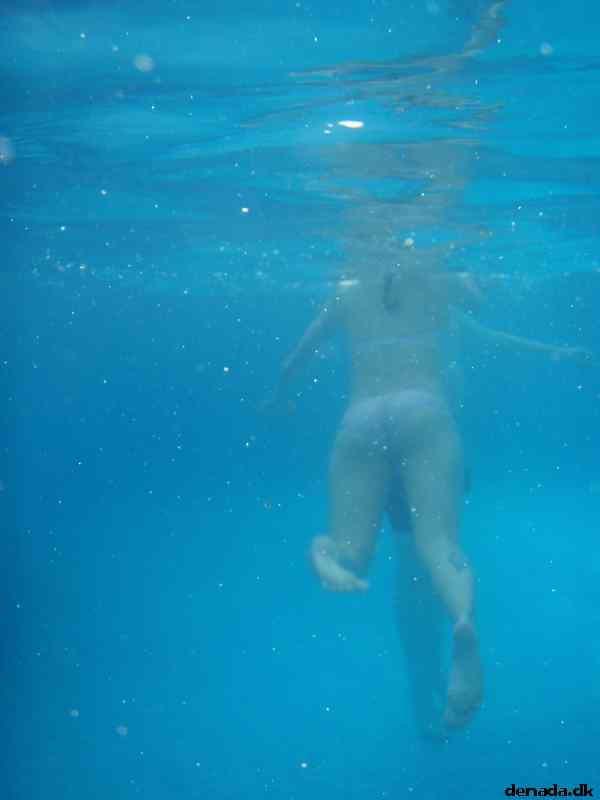 * Image 19