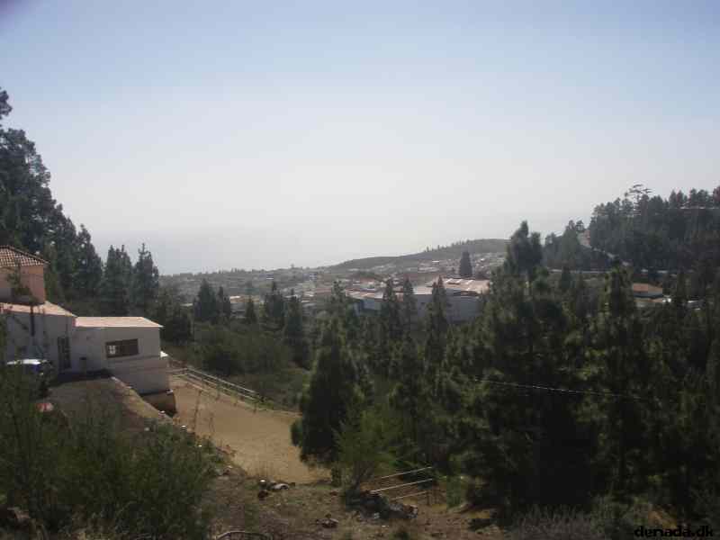 * Image 39
